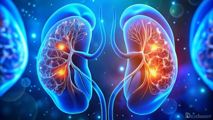 Nephrology